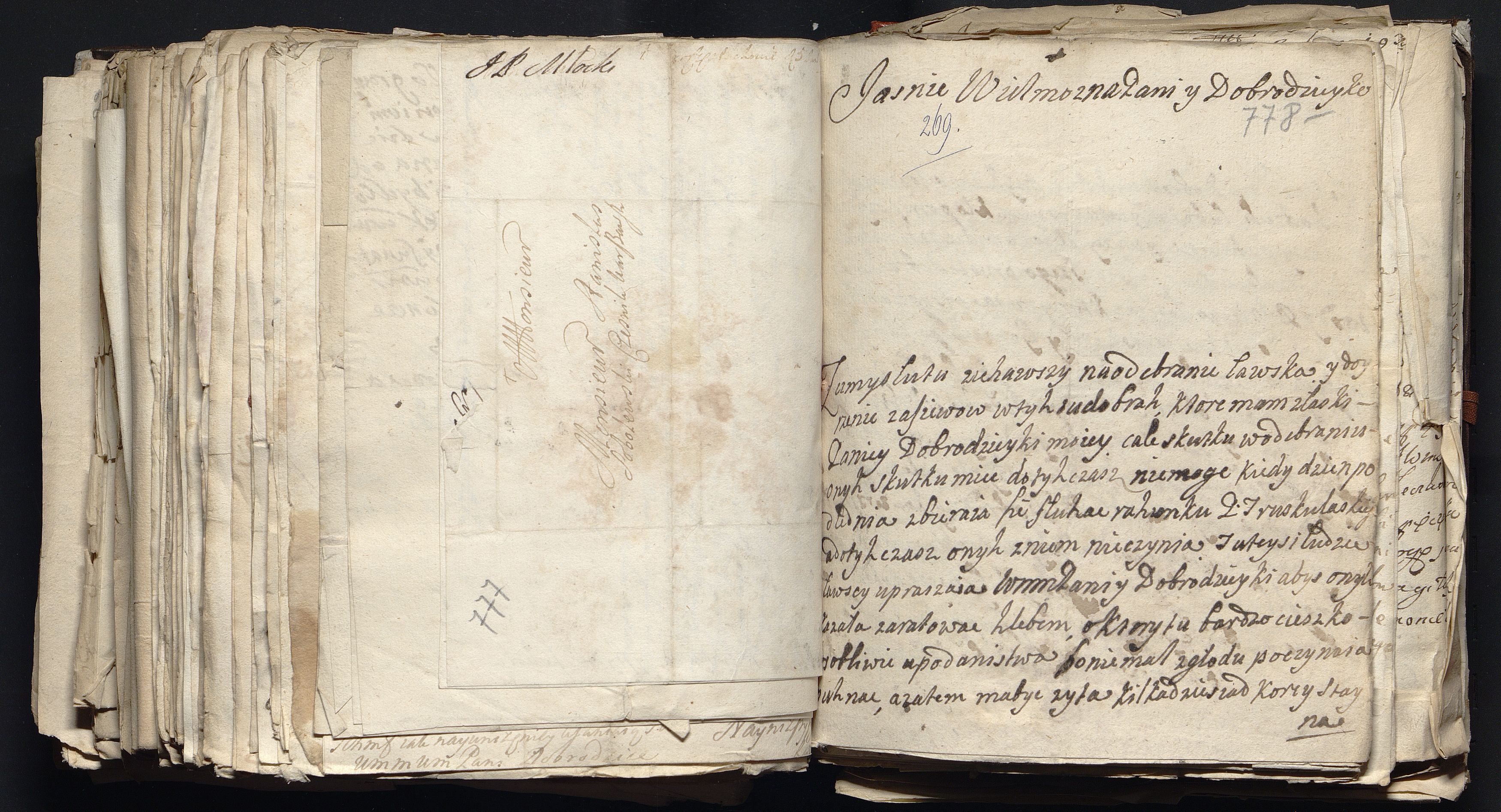 1_335_0_0_163a-49_0478