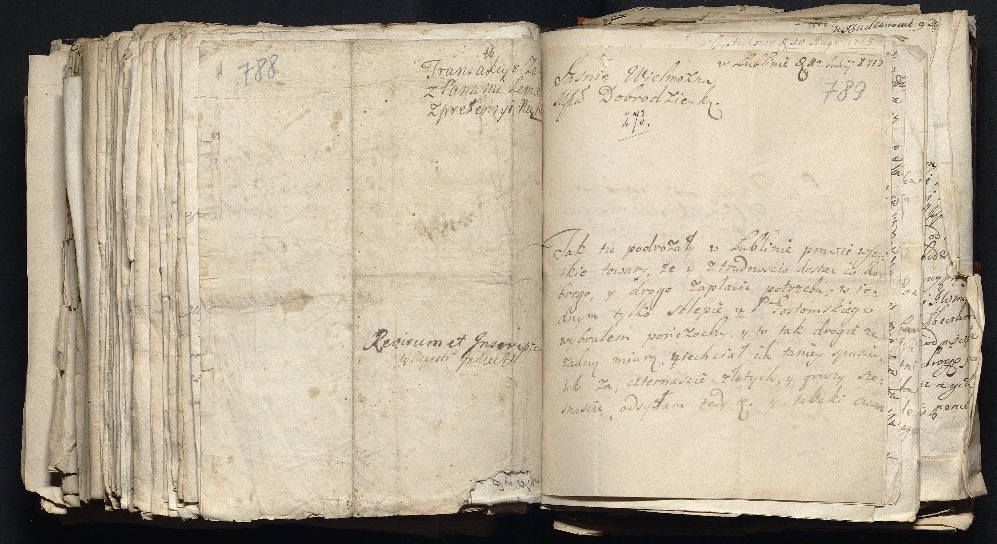 1_335_0_0_163a-49_0484