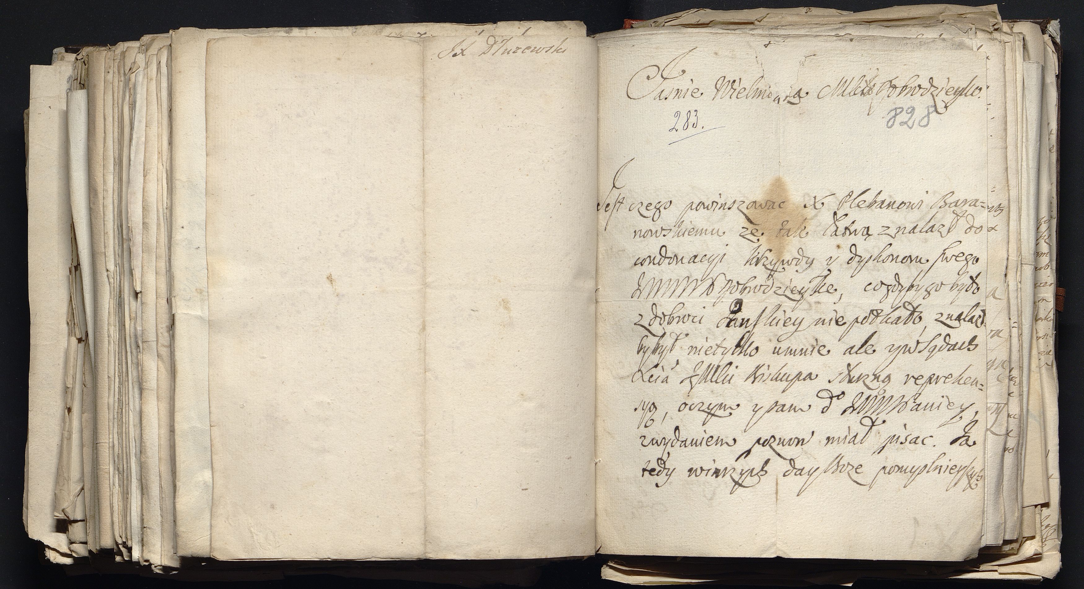 1_335_0_0_163a-49_0504