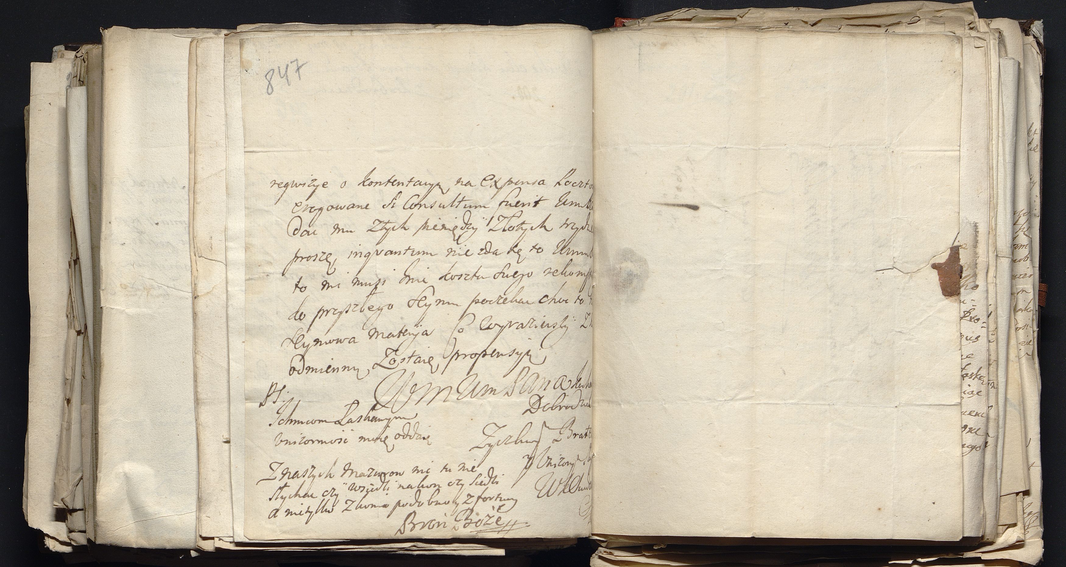 1_335_0_0_163a-49_0515