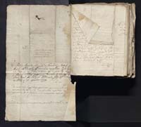 1_335_0_0_163a-49_0291