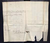 1_335_0_0_163a-49_0300