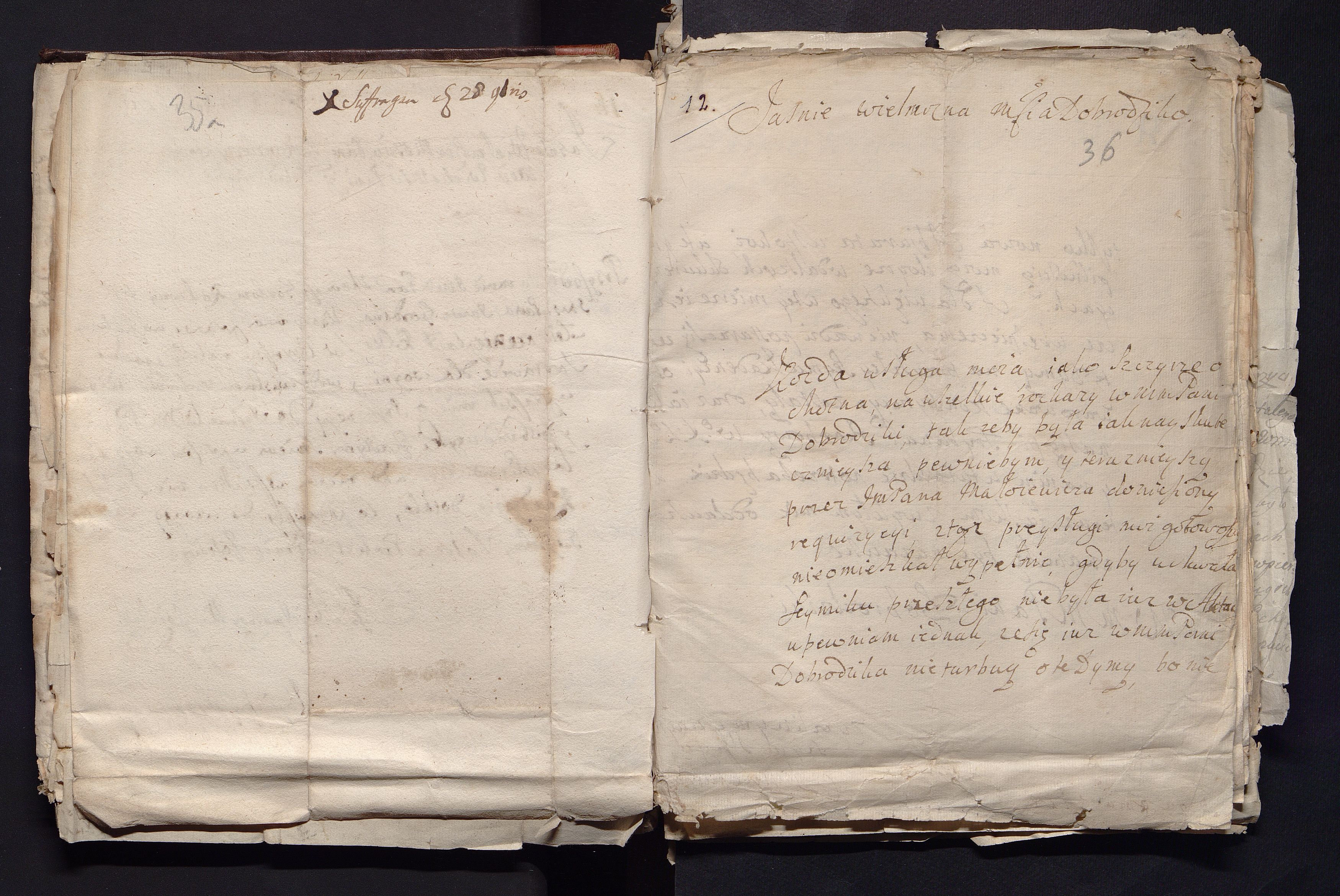 1_335_0_0_163a-50_0023