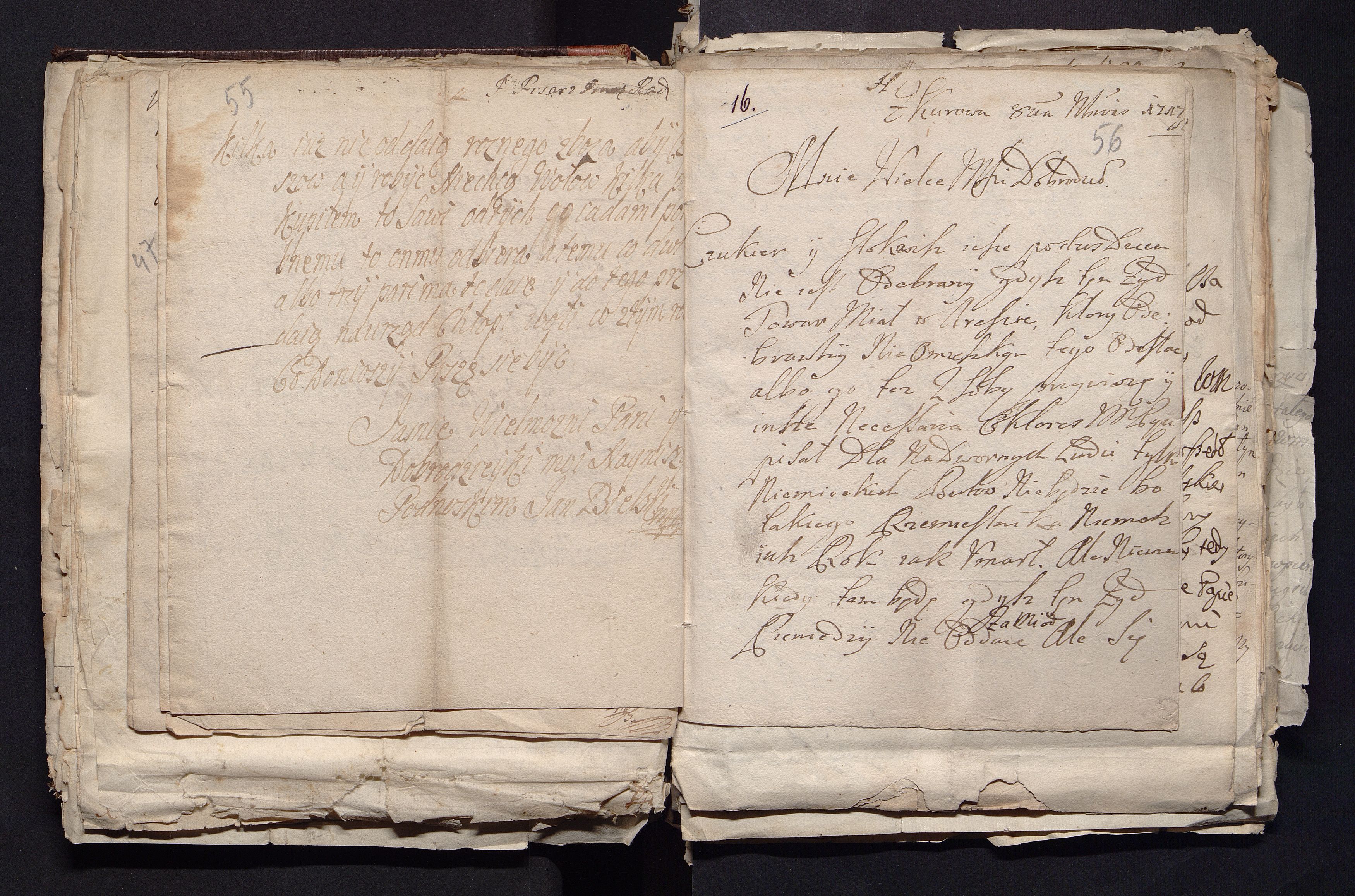 1_335_0_0_163a-50_0034