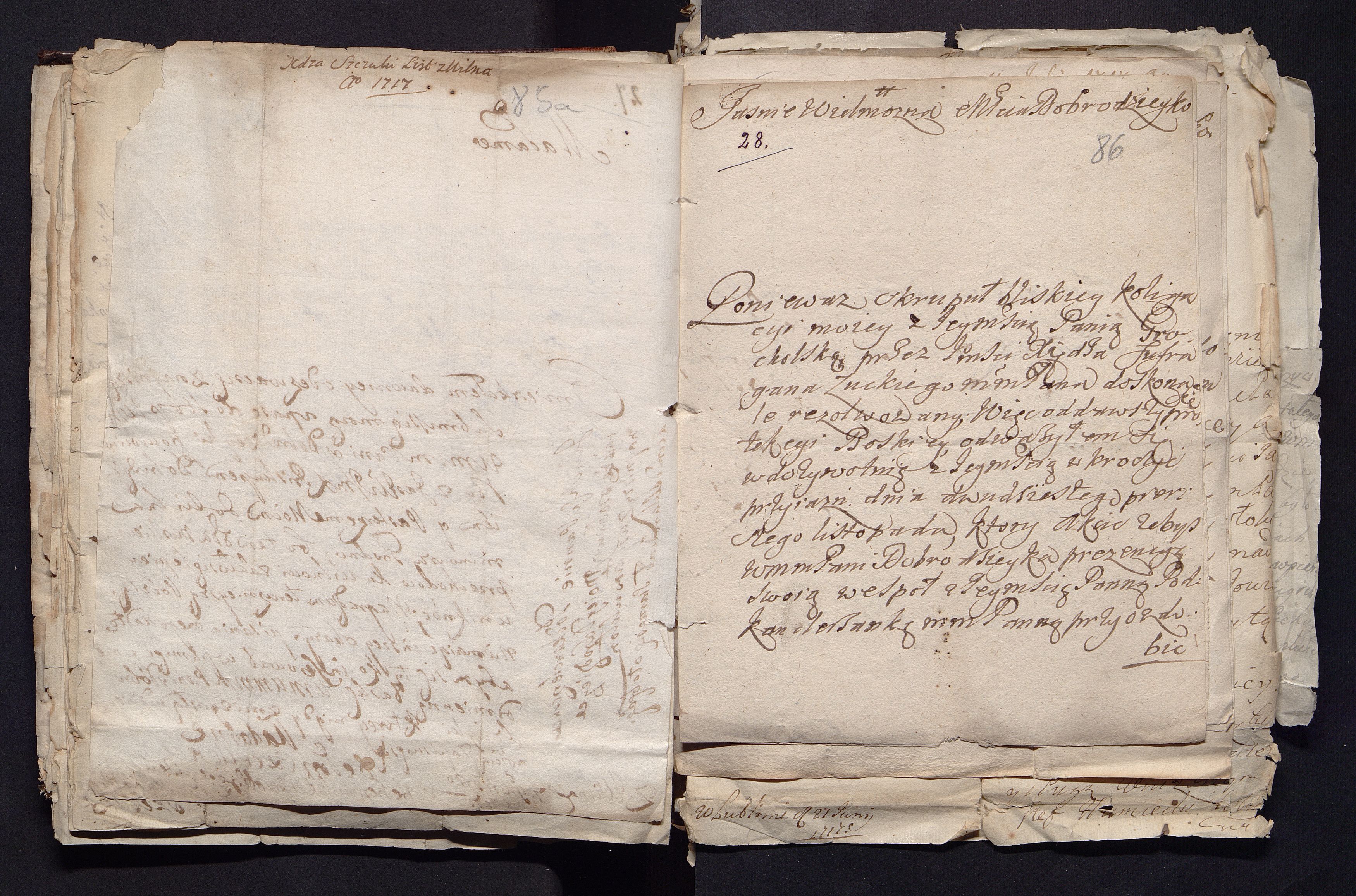 1_335_0_0_163a-50_0054