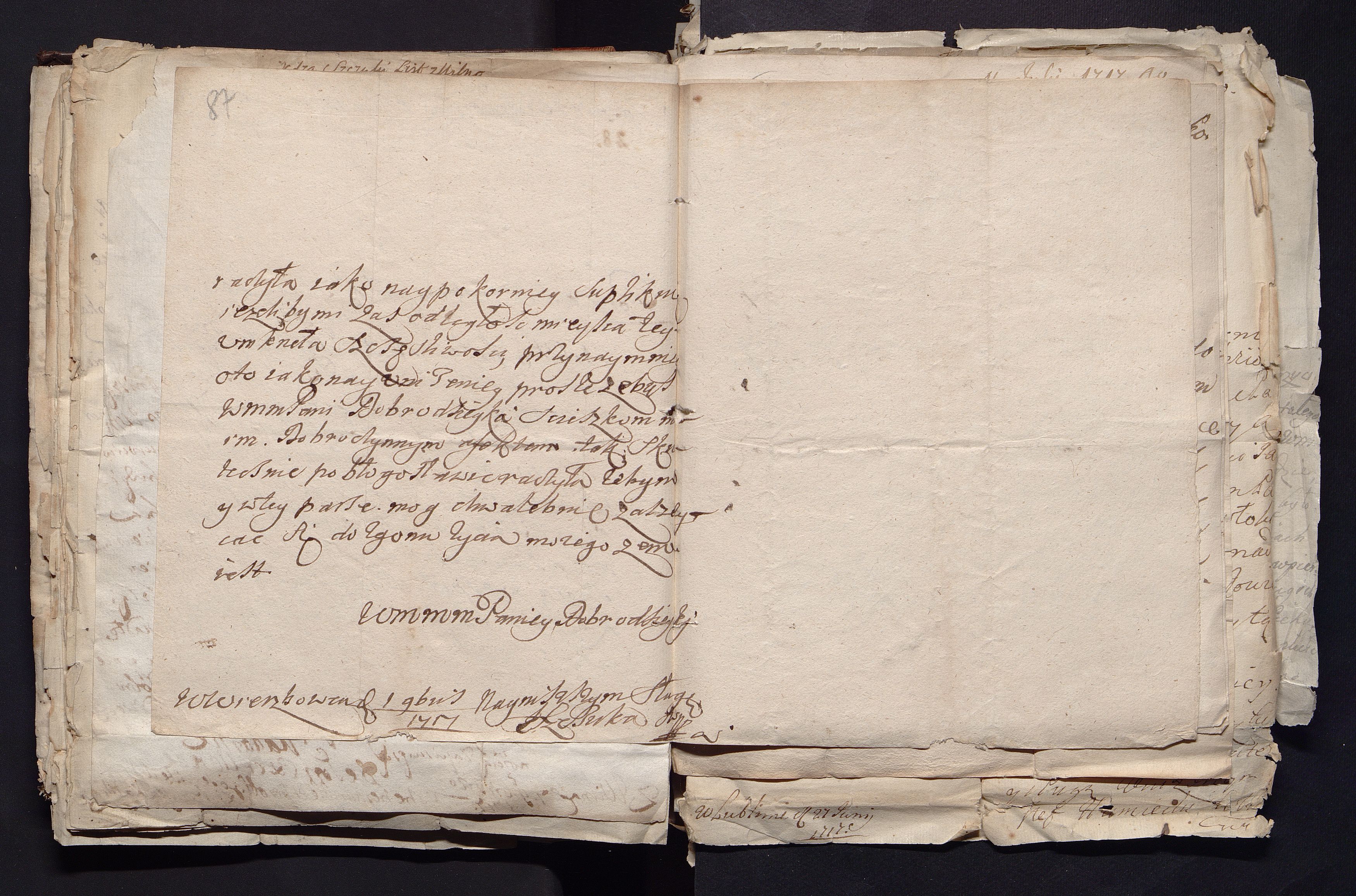 1_335_0_0_163a-50_0055