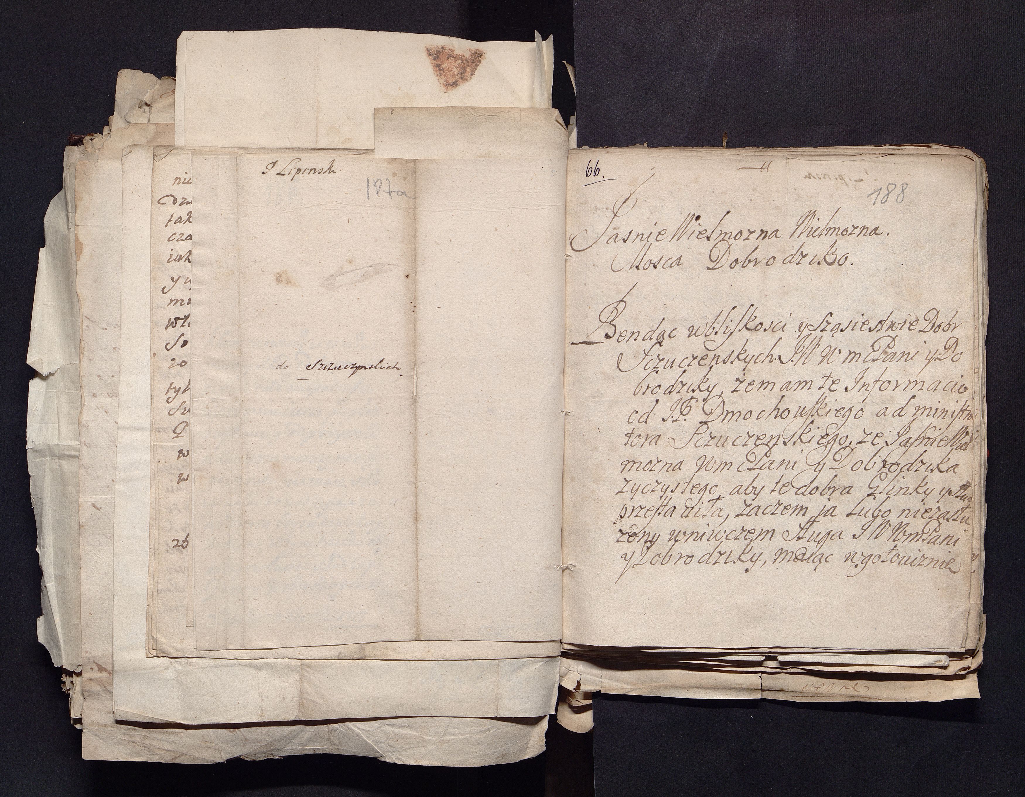 1_335_0_0_163a-50_0117