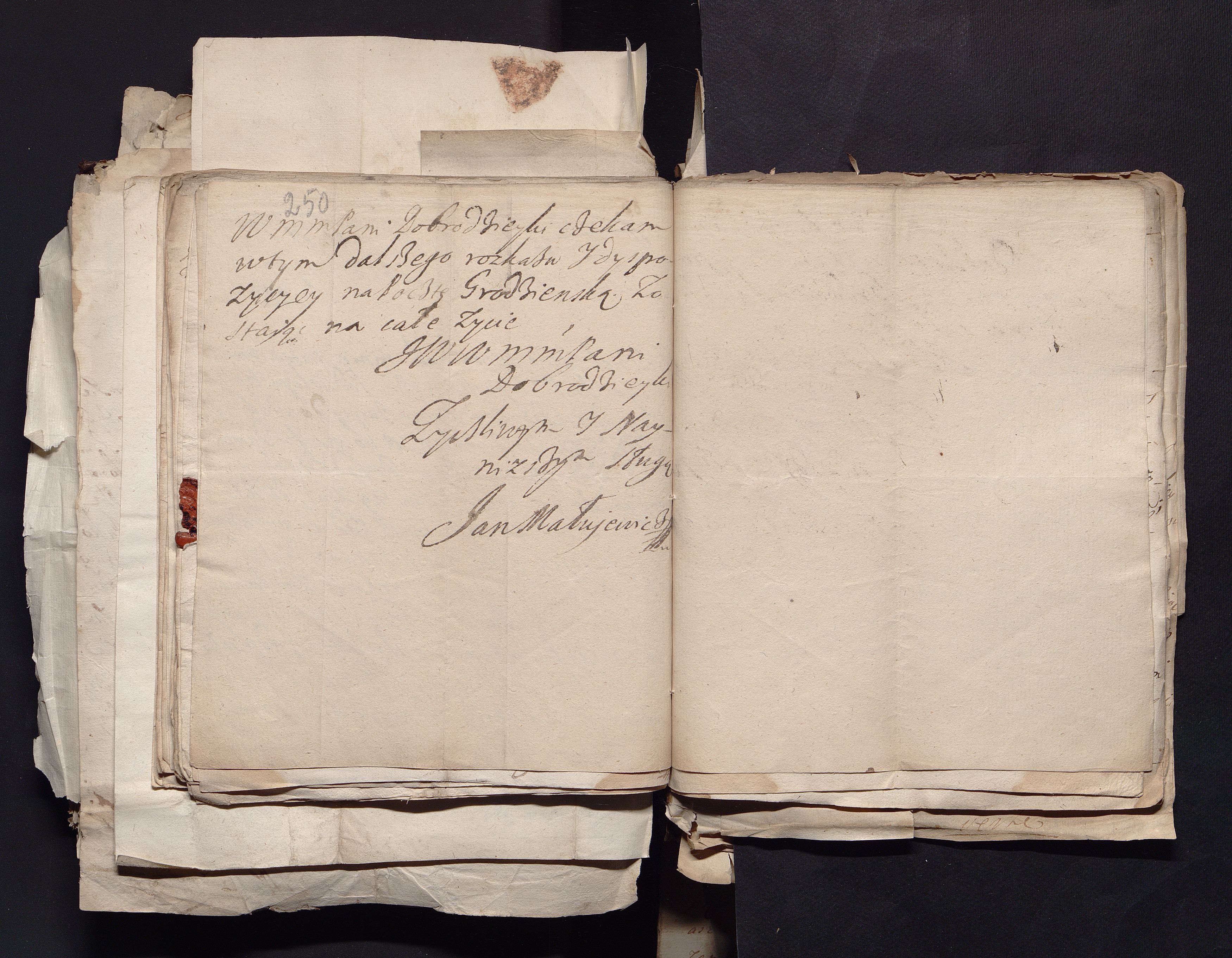 1_335_0_0_163a-50_0152