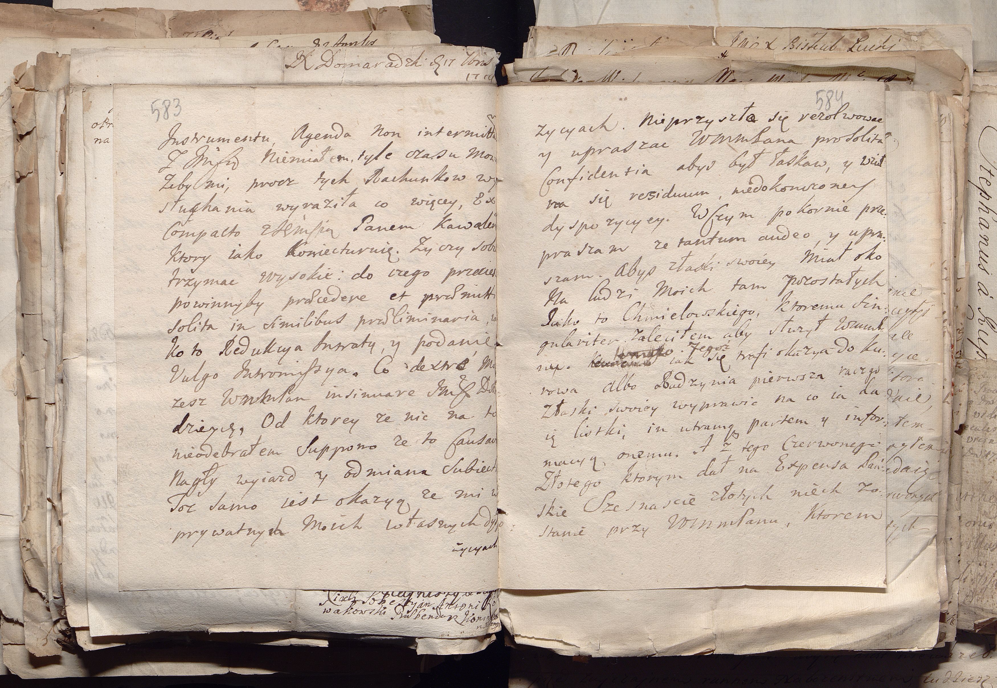 1_335_0_0_163a-50_0356