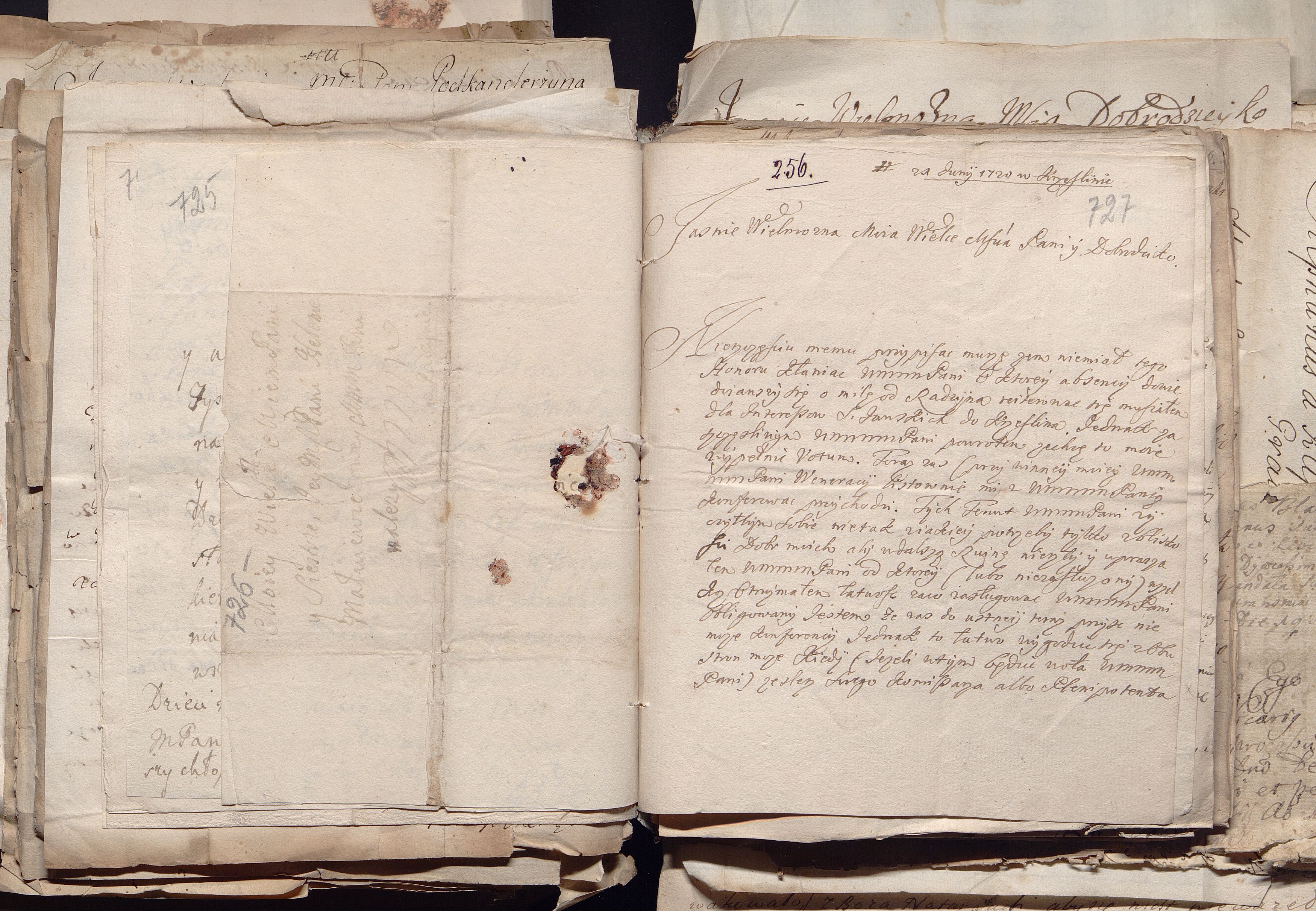 1_335_0_0_163a-50_0440