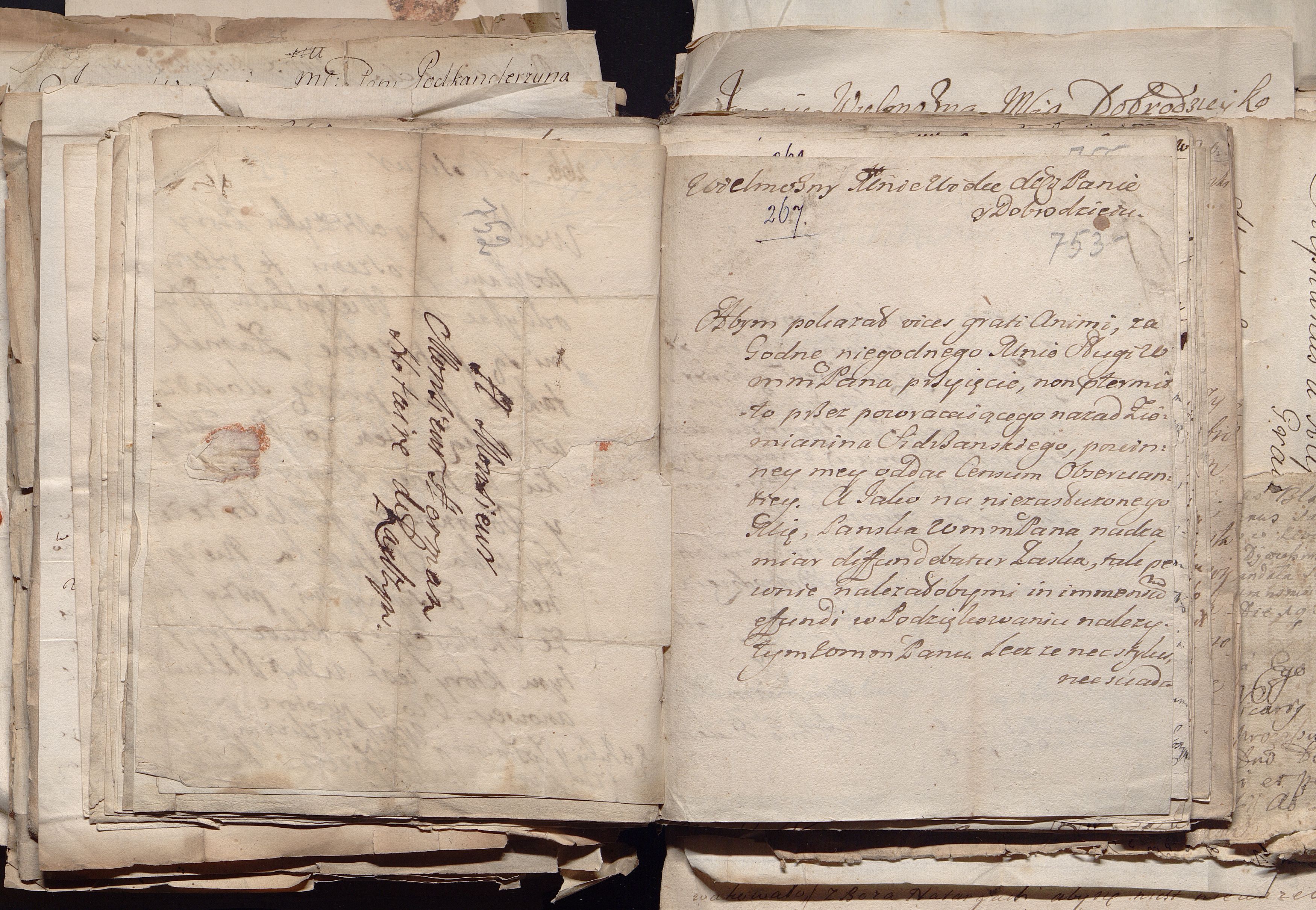 1_335_0_0_163a-50_0458