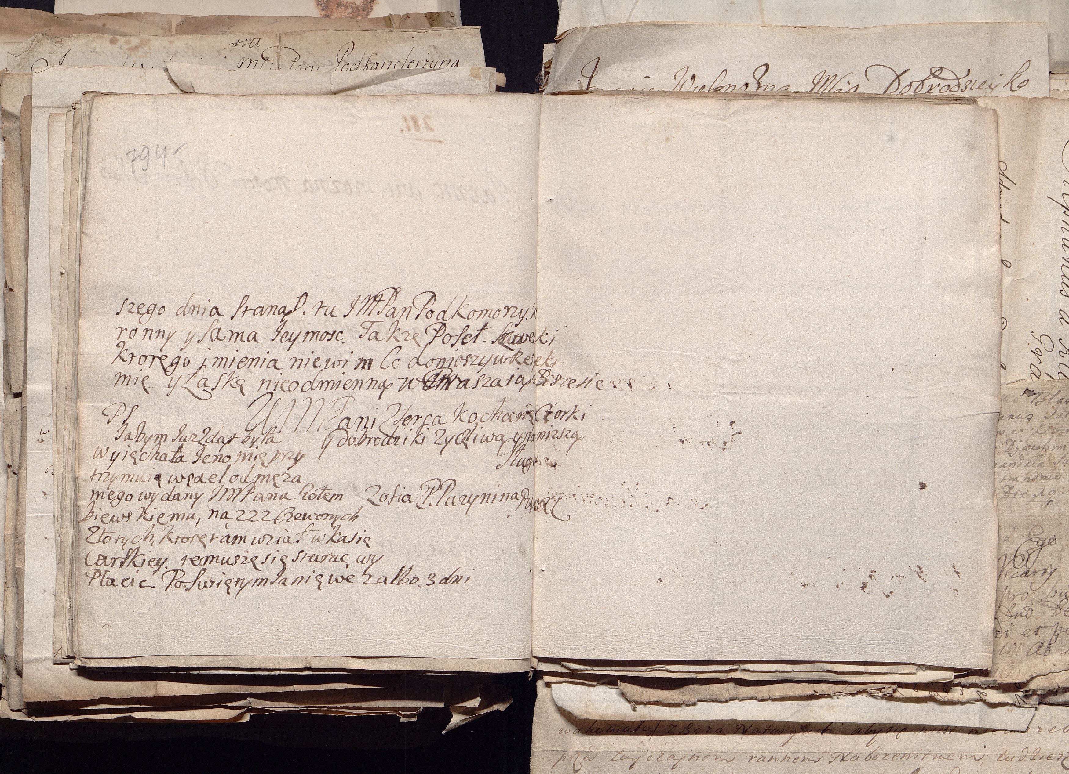 1_335_0_0_163a-50_0483