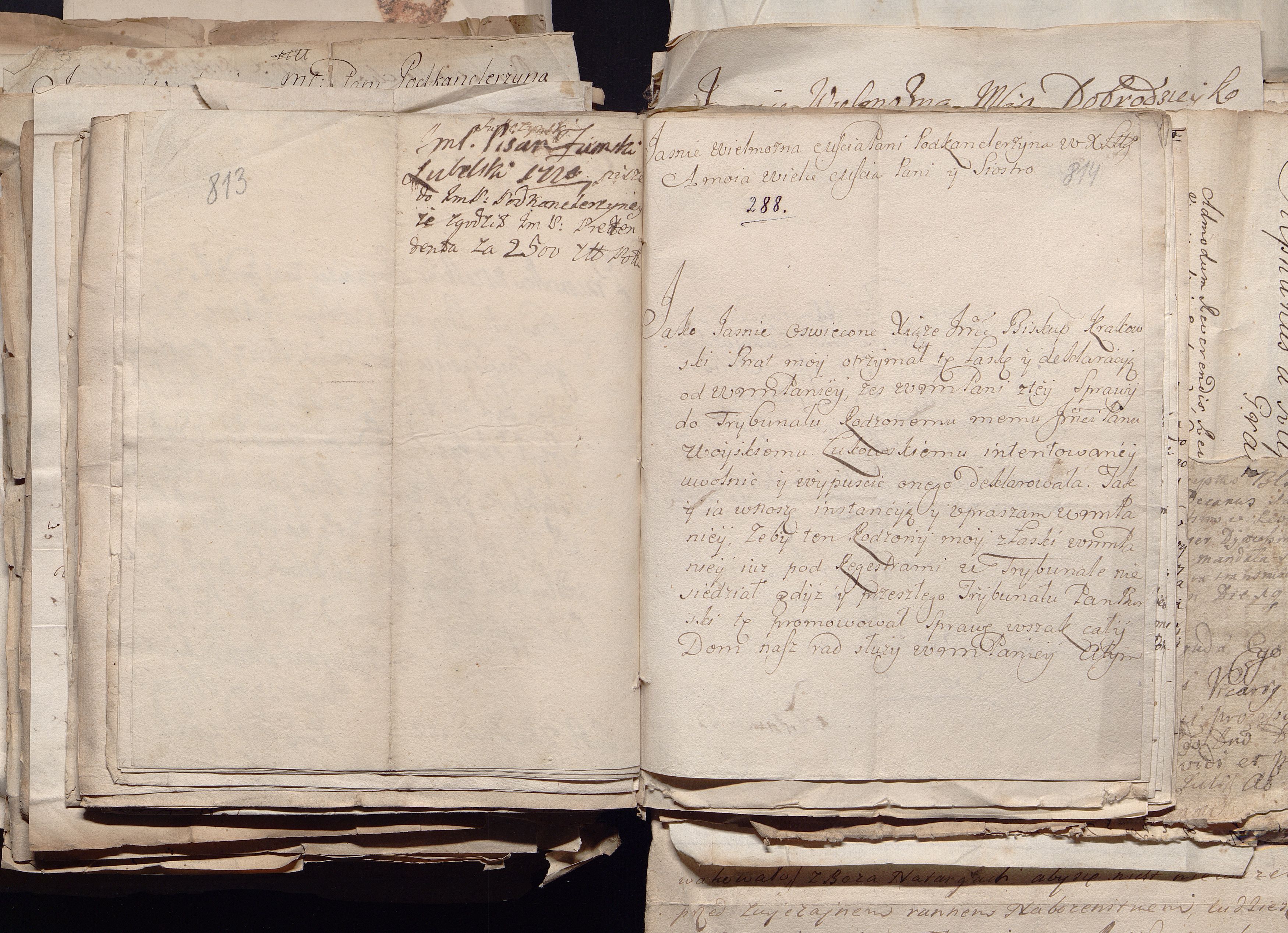 1_335_0_0_163a-50_0495