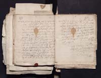 1_335_0_0_163a-50_0158