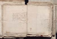 1_335_0_0_163a-50_0255