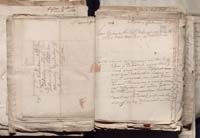 1_335_0_0_163a-50_0256