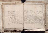 1_335_0_0_163a-50_0281