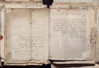 1_335_0_0_163a-50_0392