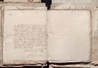 1_335_0_0_163a-50_0441