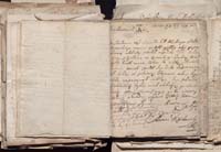 1_335_0_0_163a-50_0452