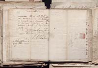 1_335_0_0_163a-50_0456