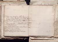 1_335_0_0_163a-50_0483