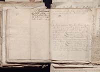 1_335_0_0_163a-50_0495