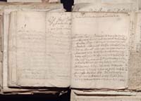 1_335_0_0_163a-50_0499