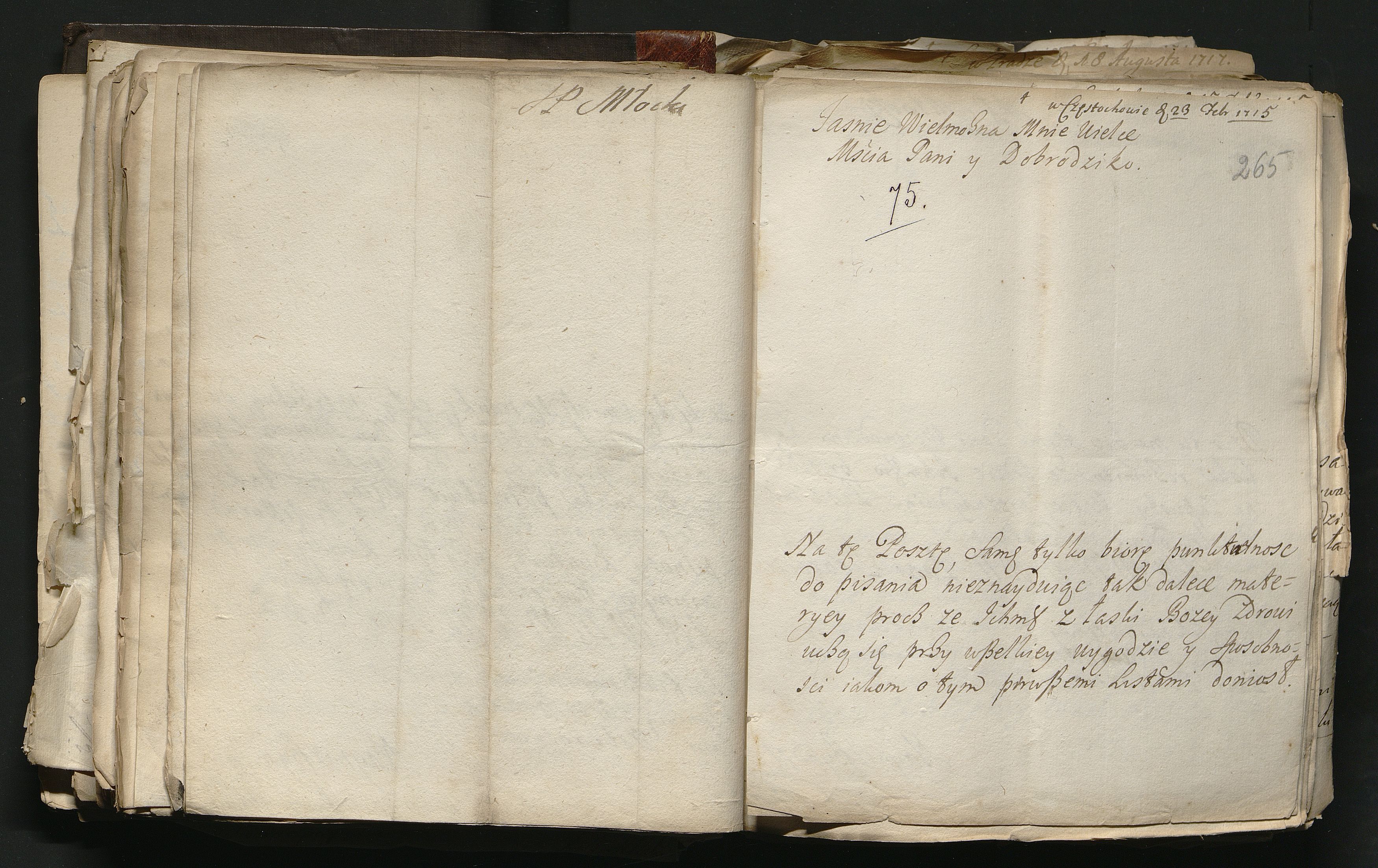 1_335_0_0_163a-51_0155