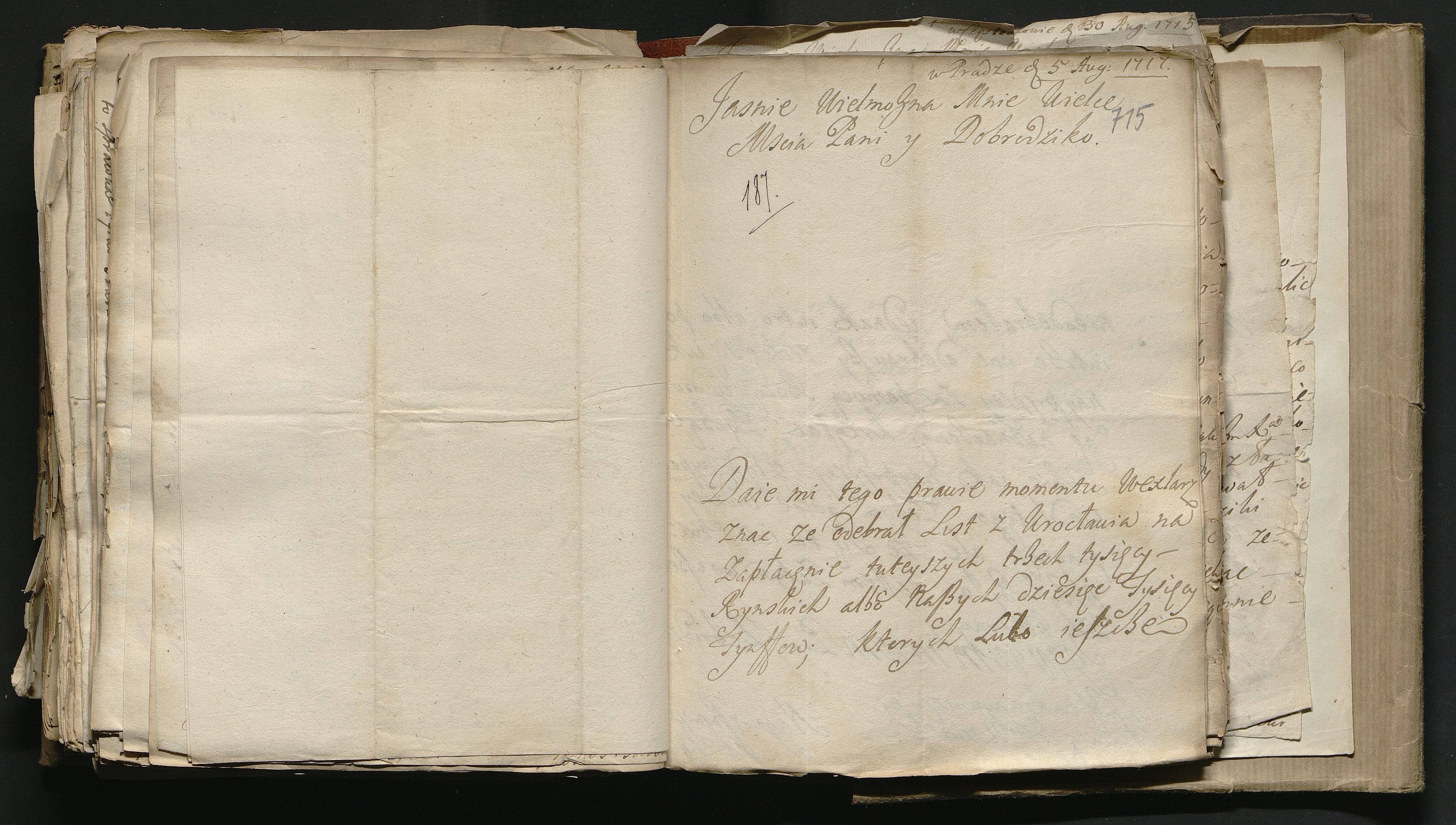 1_335_0_0_163a-51_0411