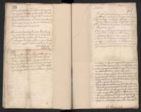 1_335_0_0_163a-7_0391