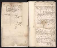 1_335_0_0_163a-8_0445