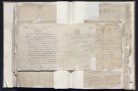 1_335_0_0_163a-9_0201