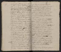 1_335_0_0_231-1_0225