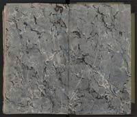 1_335_0_0_231-1_0348