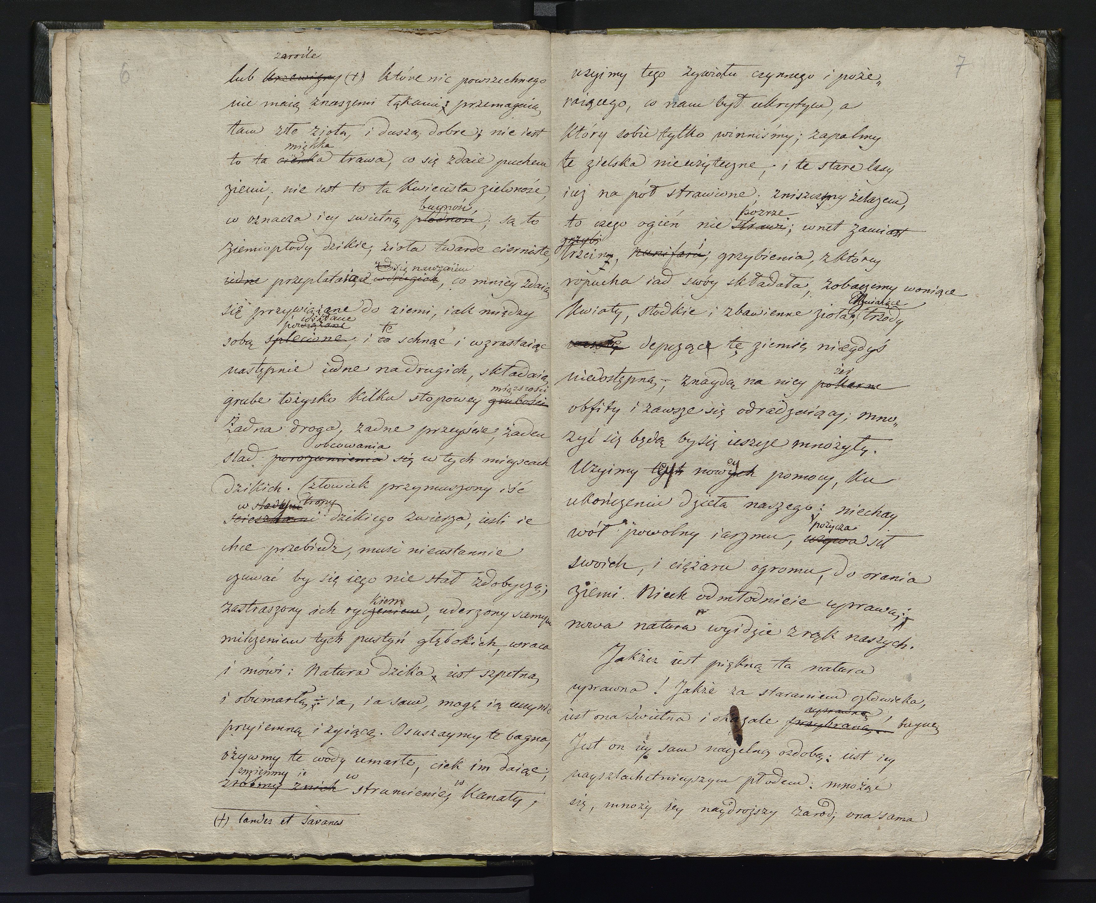 1_335_0_0_231-2_0004