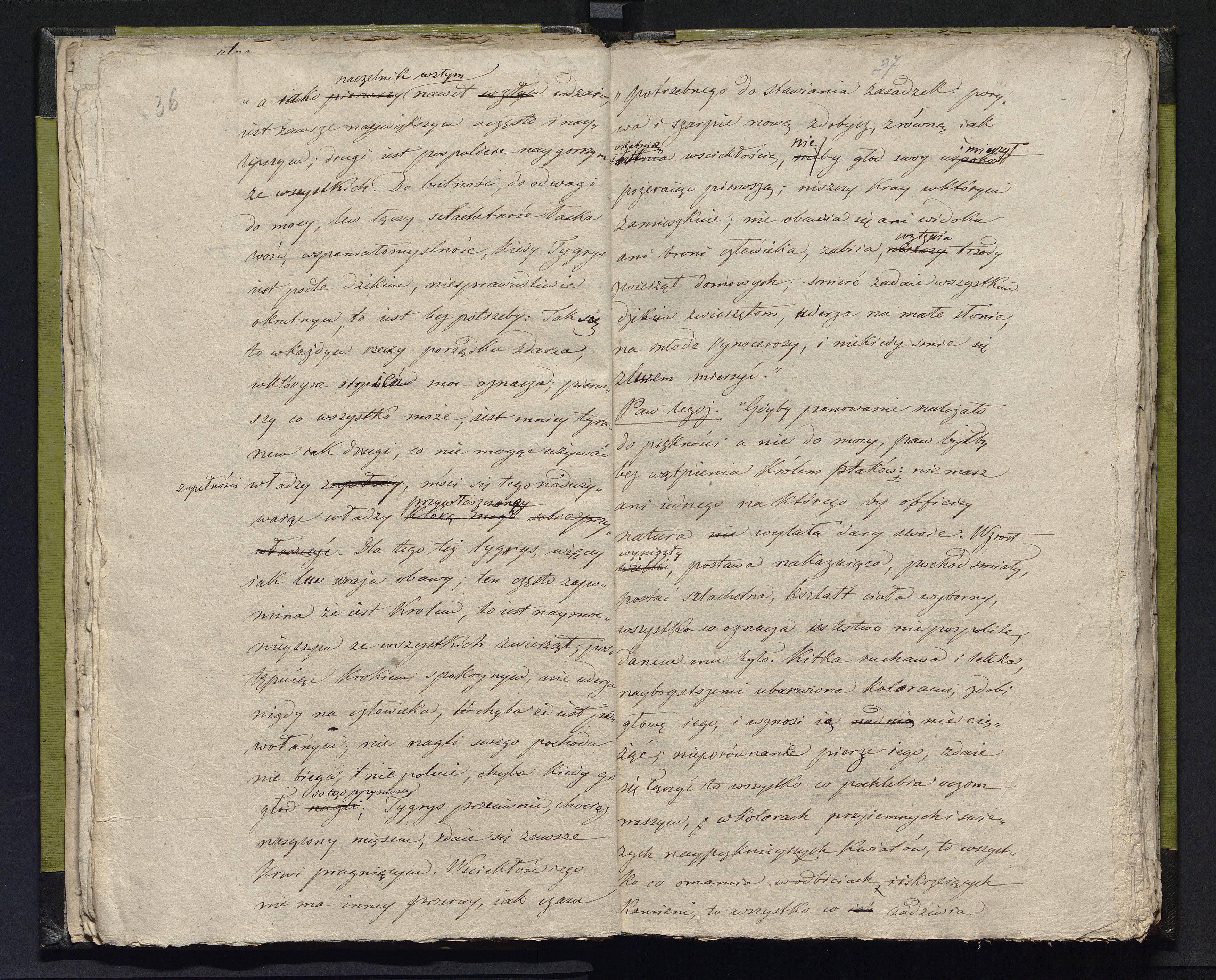 1_335_0_0_231-2_0019