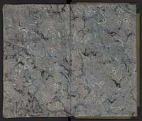 1_335_0_0_231-3_0120