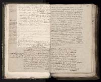 1_335_0_0_233.2_0007