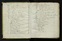 1_335_0_0_246.1_0003