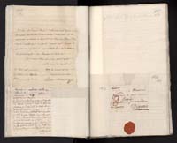 1_335_0_0_265.2_0094