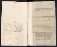 1_335_0_0_265.2_0130