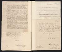 1_335_0_0_265.2_0196