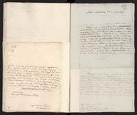 1_335_0_0_265.2_0294