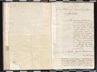 1_335_0_0_265.3_0016