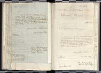 1_335_0_0_265.3_0213