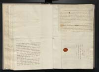 1_335_0_0_266-3_0039