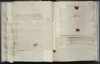 1_335_0_0_268-2_0231