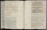 1_335_0_0_268-2_0343