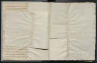 1_335_0_0_268-3_0006